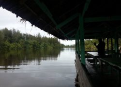 Telaga Sunyi